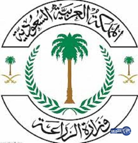 الجامعة الإسلامية تعلن أسماء المقبولين على الوظائف التعليمية