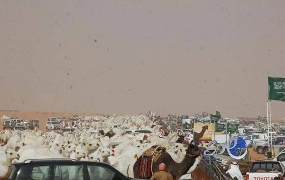 بالفيديو .. الهلال الى نصف نهائي آسيا