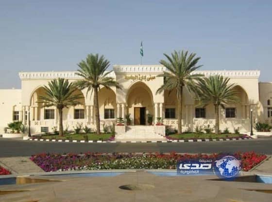 التحقيق مع أكاديمية متهمة ببيع البحوث للطالبات