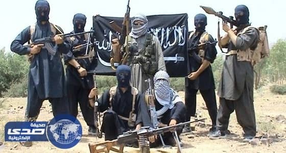 المعارضة السورية: فصائل داعشية تقدمت قرب الحدود الأردنية الإسرائيلية