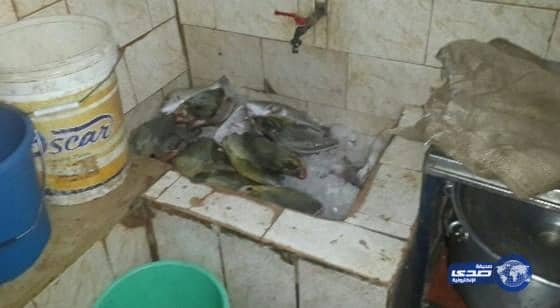 بالصور:بلدية أملج تكثف من جولاتها الميدانية المفاجئة