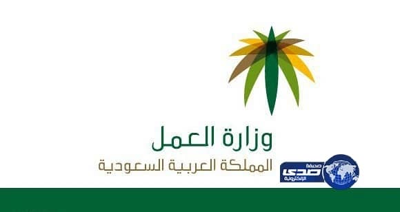 العمل : "نطاقات" ساهم في رفع الرواتب ويصعب إلزام السوق بحد أدنى للأجور