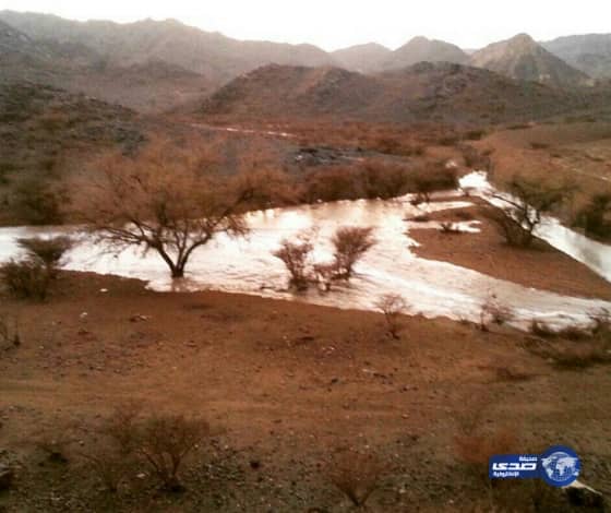 بالصور والفيديو : سيول " صمخ بيشة " الليلة الماضية