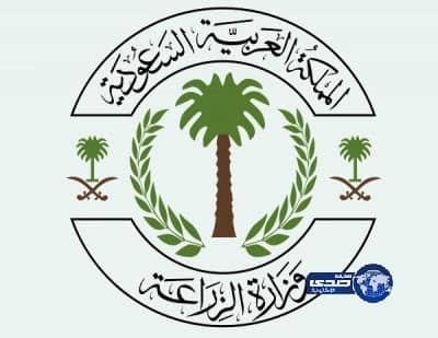 وزارة الزراعة تعتمد ضوابط إصدار تراخيص مشاريع الاستزراع المائي