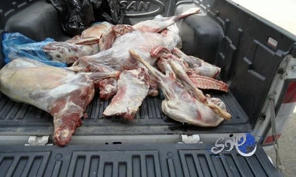 بالصور - أم " حسن" مهددة بالطرد من منزلها لعدم قدرتها على دفع الأيجار بغرب الرياض