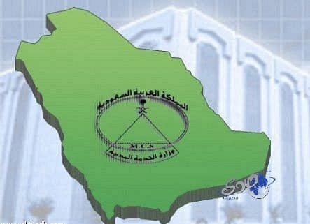 جازان: إحباط تهريب طن من الحشيش وآلاف المتسللين
