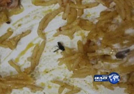 "كبسة" بالحشرات تدخل شابًا المستشفى برنية