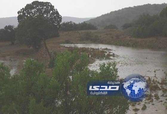أمطار على شفا وهدا الطائف وموجة البرد تنحسر