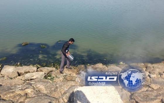 مجهول يحرق مئات السيديهات الإباحية بكورنيش الدمام