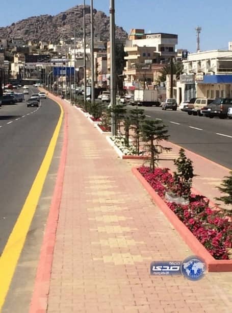 بلدية بلجرشي تنشئ شبكة ري وتعيد تأهيل وزراعة الجزر الوسطيه .. صور