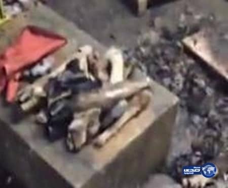 بالفيديو.. ضبط عمالة وافدة تبيع كوارع "الكلاب" بجدة