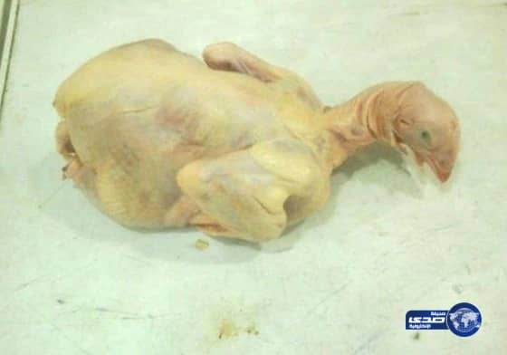 الكرتون مكتوب عليه حسب "الشريعة الاسلامية" والدجاجة مجمدة ولم يُفصل رأسها!