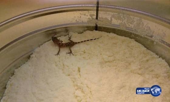 مواطن يعثر على “وزغ” حي داخل عبوة حليب