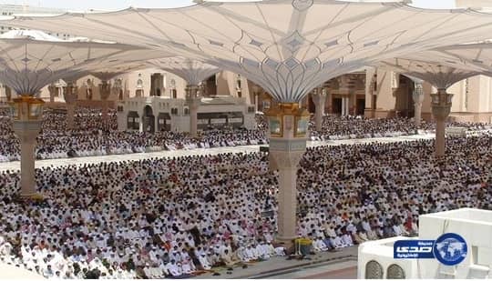 أكاديمي يدعو لتجميع مياه وضوء الحرم النبوي لسقيا أشجار النخيل