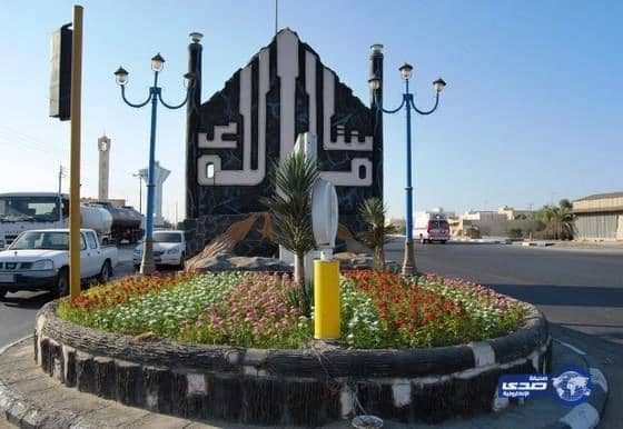 40 ألف زهرة تزين ميادين وشوارع محافظة أملج (صور)