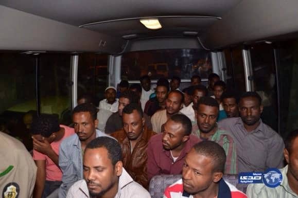 بالصور :شرطة المدينة تضبط عدد من المخالفين