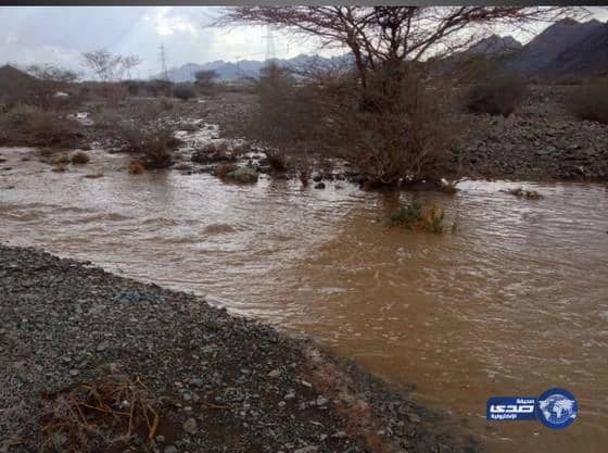 بالصور: امطار الخير تسقى العيص