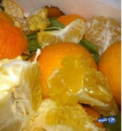 بالفيديو :بلدية القريات تصادر كميات كبيرة من "اليوسفي" لوجود يرقات داخلها