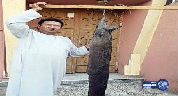 العناية الإلهية تنقذ شخص من فك ثعبان الـ«شاقة»