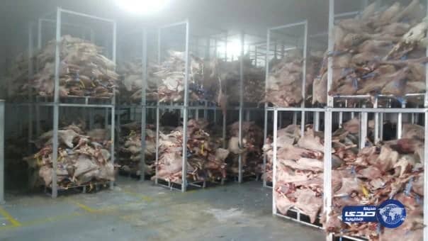 ضبط (6800) ذبيحة فاسدة بالشرفية "صور"