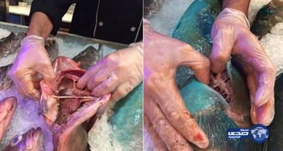 إغلاق مطعم "كابوريا"واعادة اغلاق مطعم غوديز سيليكشنز بجدة