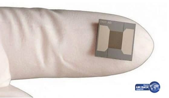 آخر الابتكارات.. اختراع "أنف رقمي" يشمّ الخطر قبل حدوثه!