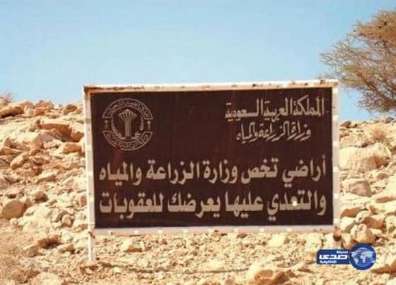 زراعة الباحة: 5 آلاف ريال غرامة قطع الشجرة الواحدة