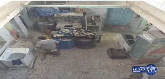 ضبط عمالة توزع أطعمة فاسدة للمدارس في الأحساء