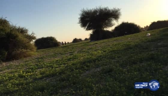 بالصور : روضة خريم تكتسي بالخضرة وتغري المتنزهين