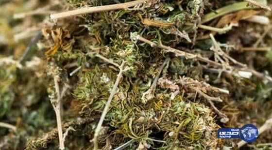 إحراق الشرطة للمخدرات يتسبب في نشوة لسكان إندونيسيا