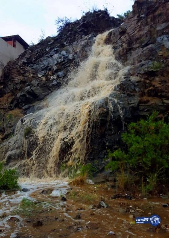 أمطار على محافظة العقيق