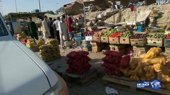 مصادرة(45)رأس غنم وإزالة مباسط عشوائية بمكة