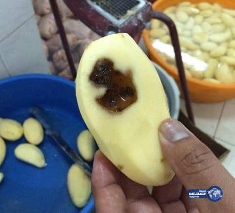 بالصور بلديه عفيف تغلق عدد من المطاعم المخالفه