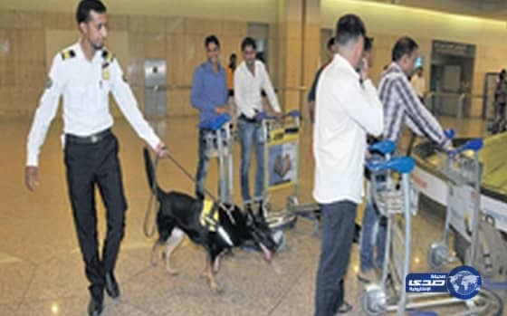 40 فرقة من "الكلاب البوليسية" بمطار الدمام للتصدي لإدخال المخدرات أو المتفجرات