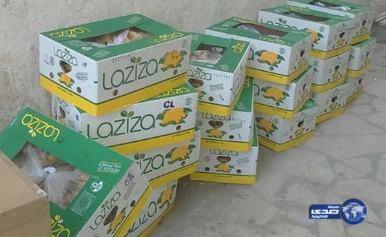 بلدية “الهفوف” تشن حملة ميدانية لإزالة المباسط العشوائية