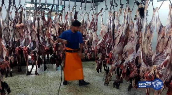 اكثر من 21 الف أضحية تم ذبحها يومي الأول والثاني في المدينة