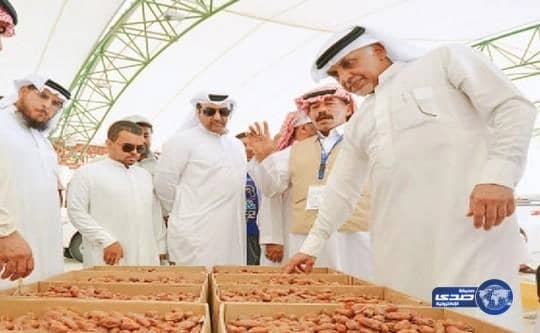 5.3 مليون كيلو جرام "تمر" بمهرجان الأحساء للنخيل