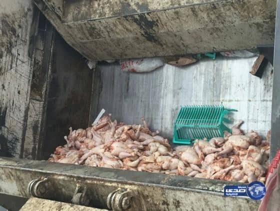 أمانة المدينة تضبط مطعمين شهيرين بفروعها تبيع الأطعمة الفاسدة