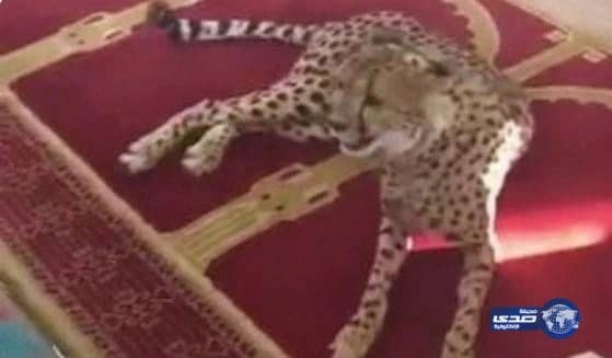 صاحب "فهد بريدة" يوضح ملابسات دخوله المسجد