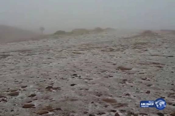 هطول الثلوج على جبل اللوز