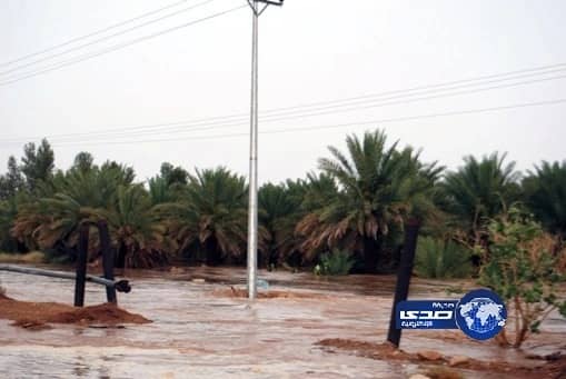 بالفيديو.. أسود حرس الحدود وقت تناول السحور في رمضان