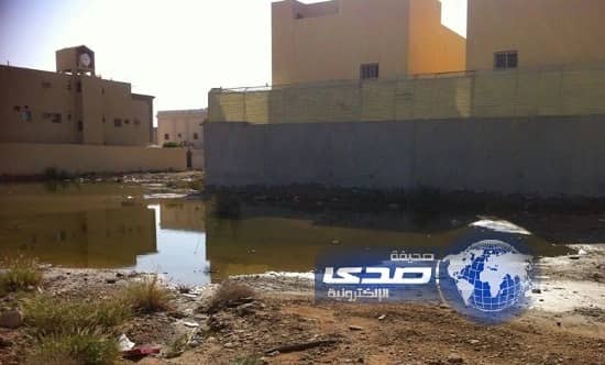 بالصور حي ظهرة لبن.. يشتكي تردي الخدمات البلدية والنظافة وقلة الاهتمام