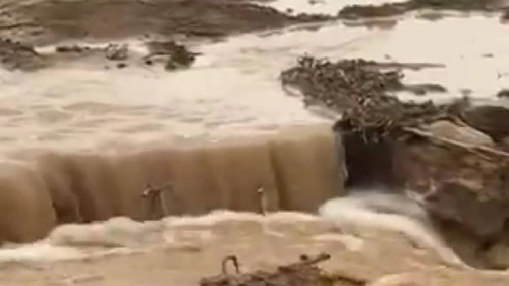 WhatsApp Image 2025-12-15 at 5.34.32 PM.jpeg