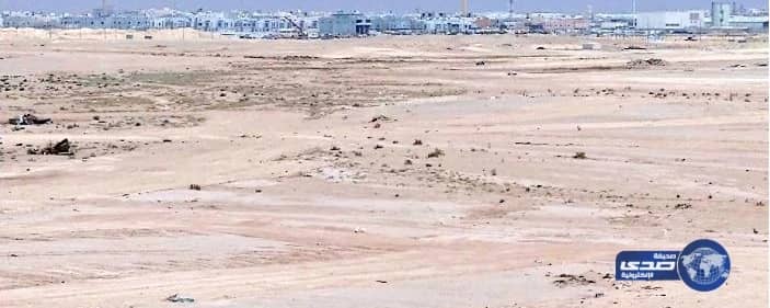 ولي العهد يشيد بخطوة الإعلان عن نية تأسيس منصة طوعية لتداول تأمينات الكربون