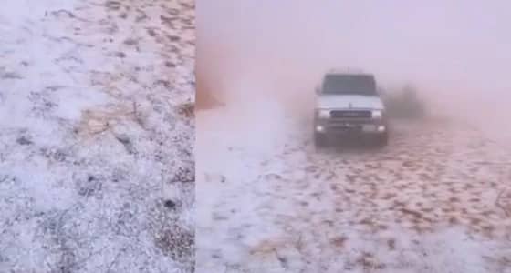 شاهد.. بردية عذفاء بسكاكا