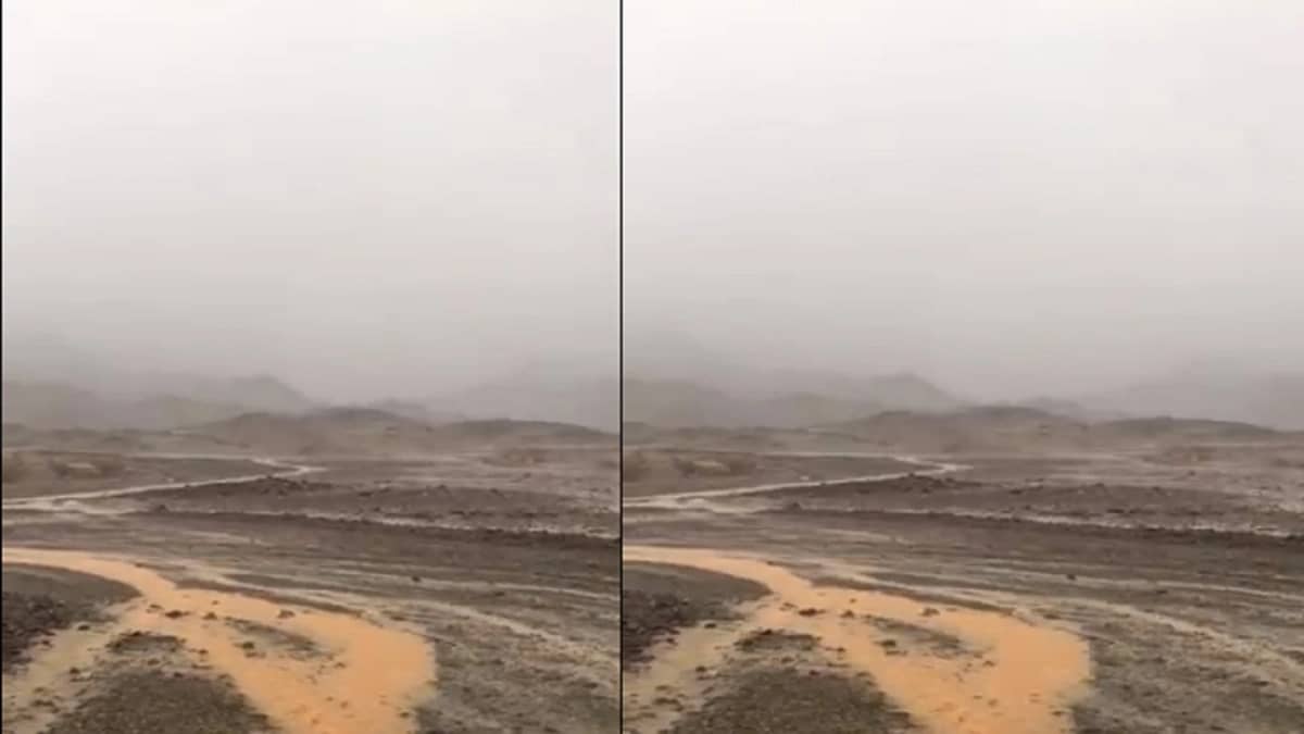 شاهد.. هطول أمطار غزيرة وصواعق قوية في المدينة المنورة