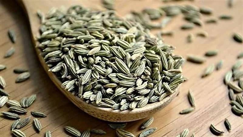 "الشمر" يكافح السرطانات ويساعد على خسارة الوزن