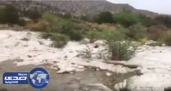 بالفيديو.. تراكم كميات هائلة من البرد في الشفا