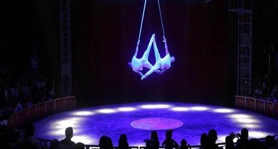 4 مناطق تحتضن عروض السيرك العالمية في العيد