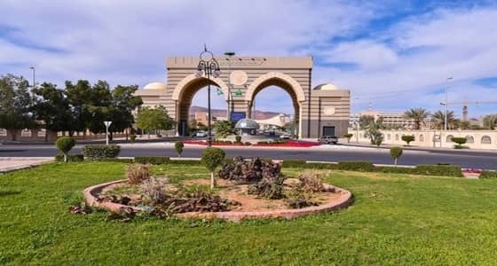 الأسبوع المقبل.. الإعلان عن أسماء 100 موظف بالجامعة الإسلامية